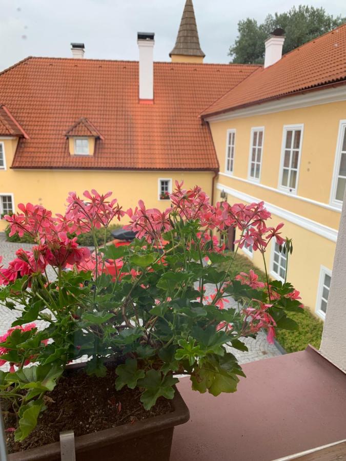 Hotel Zámek Jindřichovice Kolinec Esterno foto